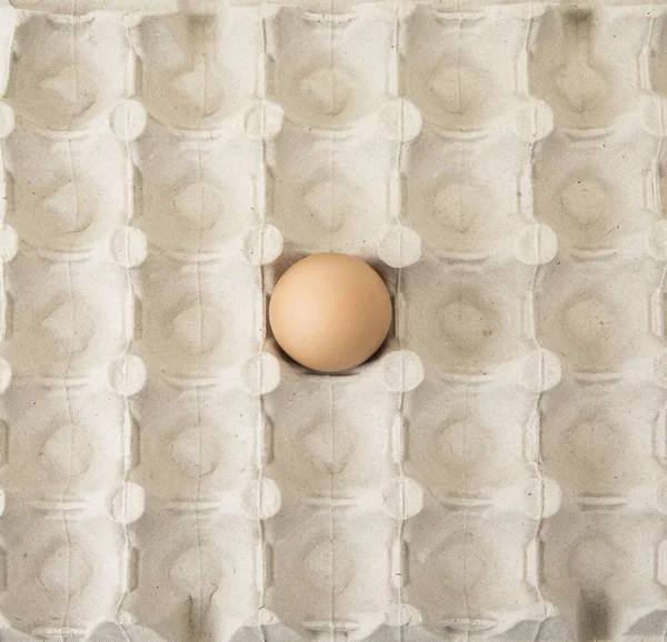 Huevo Simple Recipiente Destaca Concepto —  Fotos de Stock