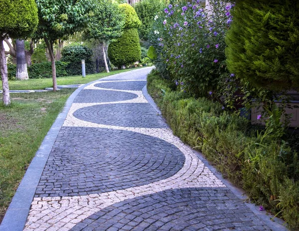 Yazın Bahçede Kaldırım Taşı Yürüyüşü — Stok fotoğraf