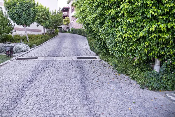 Caminhada Cobblestone Jardim Verão — Fotografia de Stock