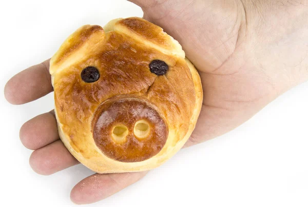 Bollo Con Relleno Dulce Forma Cabeza Cerdo — Foto de Stock