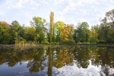 Sonbaharın başında gölün yanına park et.