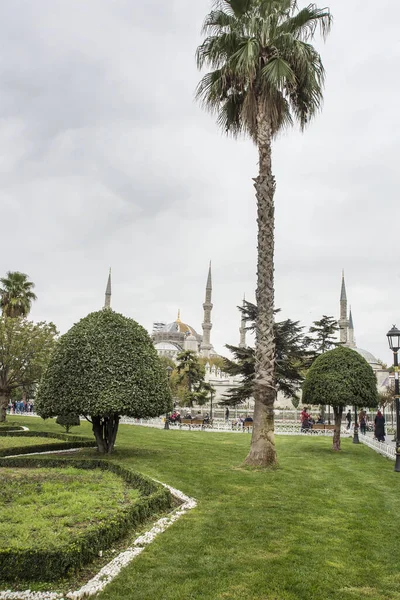 Niebieski Meczet Sultanahmet Stambule Sułtanahmet Camii — Zdjęcie stockowe