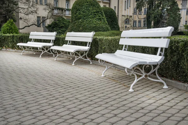 Leere Weiße Bänke Parkgarten Sommer — Stockfoto