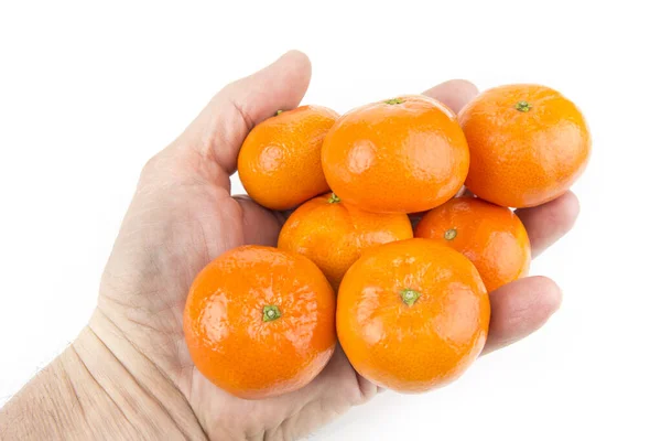 Ripe Tangerines Hand White Background — Stock Photo, Image