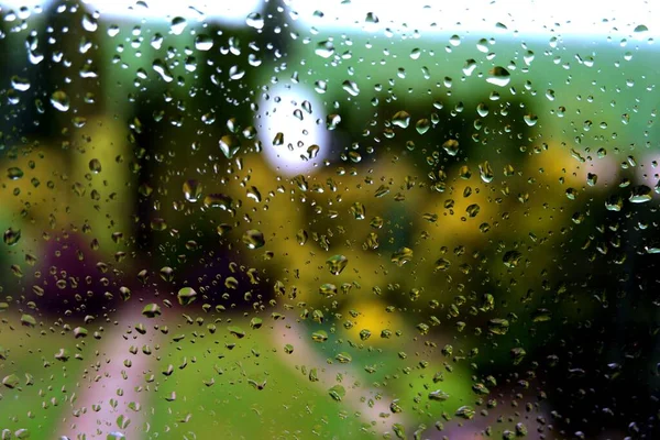 Rain drops on a garden window after the rain