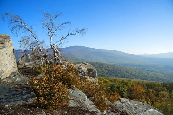 田の秋の田舎の岩からの眺め — ストック写真