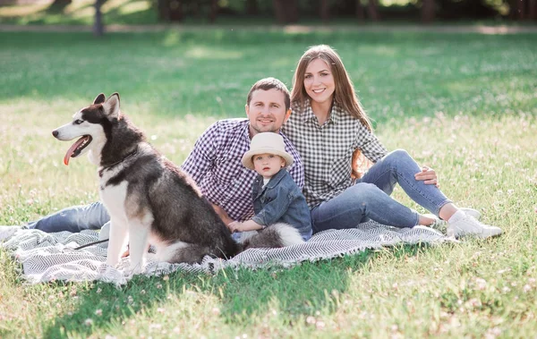 küçük bir çocuk ve bir köpek husky ile gülümseyen mutlu genç aile. adam ve kız bir yürüyüş. 