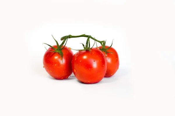 Juicy tomatoes on a branch on a white isolated background. wet vegetables — Stock Photo, Image