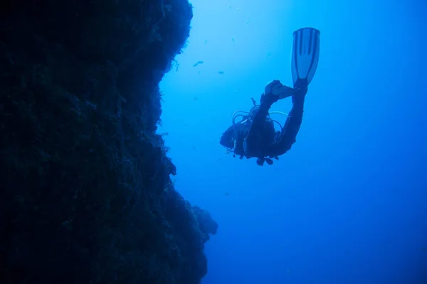 Recifes de mergulho, fuerteventura, ilhas canárias — Fotografia de Stock