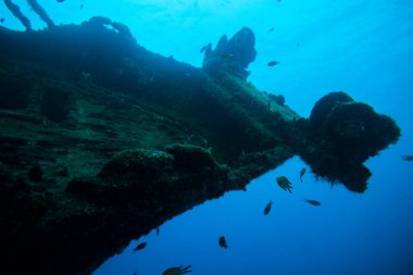 ship wreck PECIOS DE PUERTO DEL CARMEN