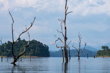 Göl khao sok Milli Parkı