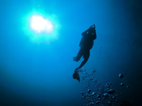 Siluetu potápěče — Stock fotografie