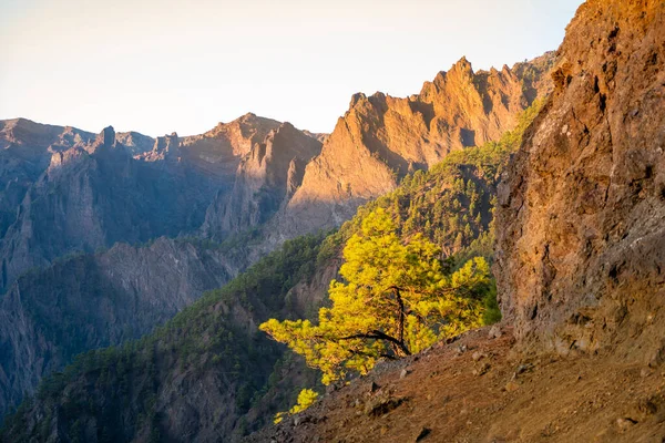 As florestas Cumbrecita montanhas no parque nacional Caldera de taburiente — Fotografia de Stock
