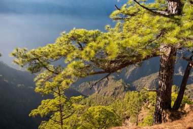 Caldera de taburiente Ulusal Parkı 'ndaki Cumbrecita Dağları.