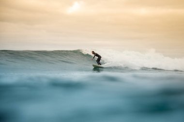 Fuerteventura adasında sörf yapan sörfçü