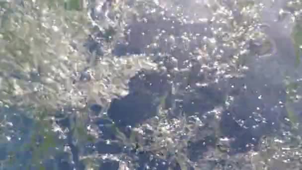 Вид на підводну морську сцену з природними променями, що сяють — стокове відео