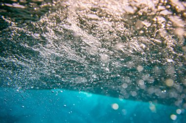 Deniz altı manzaralı. Fuerteventura 'nın güzellik arka planı