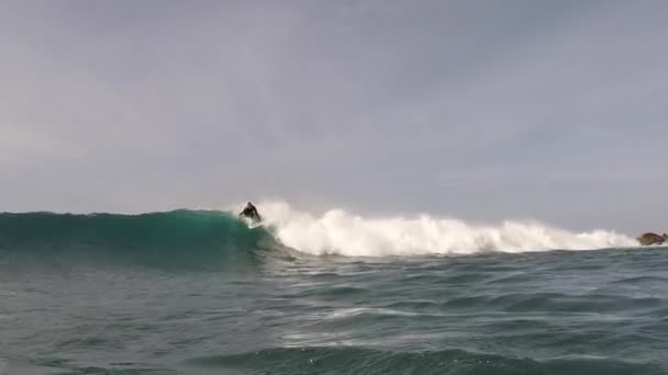 Surfista montando olas en la isla de fuerteventura — Vídeo de stock