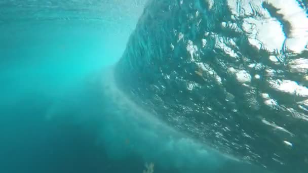 Onda submarina. Ola de barril azul estrellándose en el océano — Vídeo de stock