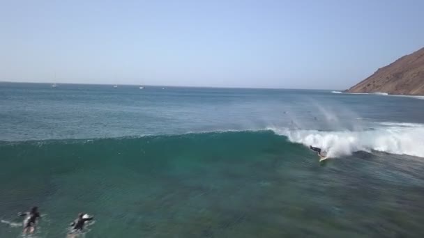 Uma vista de cima dos surfistas no oceano — Vídeo de Stock
