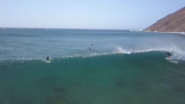 Pohled shora ze surfařů v oceánu — Stock video