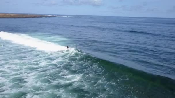 Una vista dall'alto dei surfisti nell'oceano — Video Stock