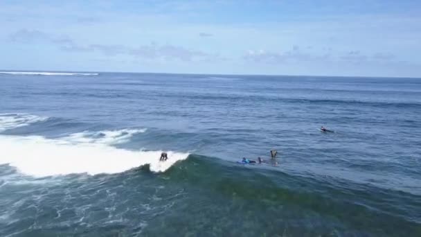 Une vue d'en haut des surfeurs dans l'océan — Video