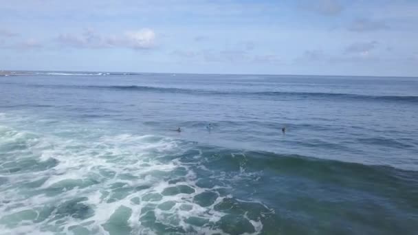 Ein Blick von oben auf die Surfer im Ozean — Stockvideo