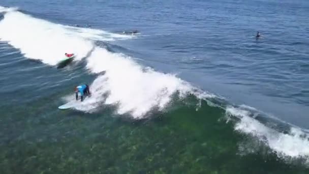 Вид сверху на серферов в океане — стоковое видео