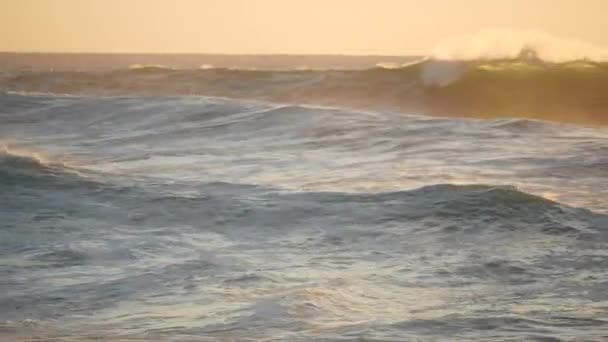 Atlantic ocean waves in sunset light on fuerteventura — Stock Video