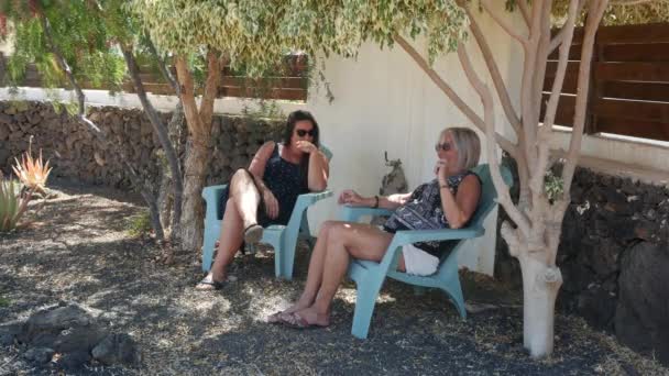 Cheerful old mother and young adult woman talking laughing together — Stock Video