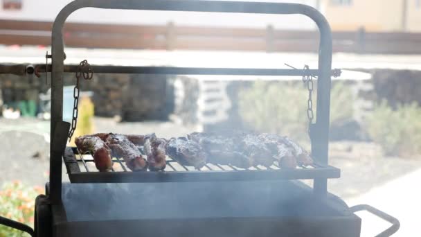 Barbecue all'aperto in una bella giornata estiva — Video Stock