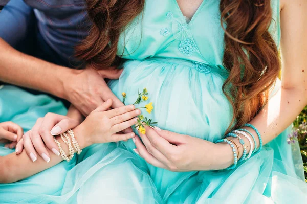 Parents hands holding flower on the pregnant belly. Family concept. Royalty Free Stock Images
