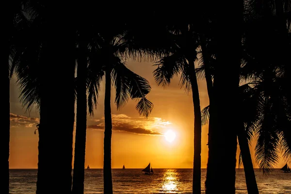 南国の夕日。ヤシの木のシルエット。タイ — ストック写真