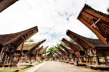 Main street, Kete Kesu, Rantepao, Sulawesi, Endonezya geleneksel Tana Toraja Köyü