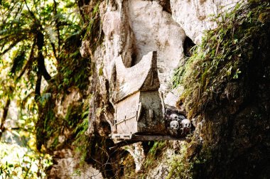 Tabut asılı, mezar. Geleneksel mezarlık Rantepao, Tana Toraja, Sulawesi, Endonezya Kete Kesu.
