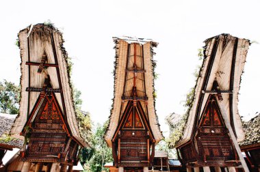 Geleneksel torajan tongkonan oyma ile bina ve tekne şeklindeki çatılar. Tana Toraja, Rantepao, Sulawesi, Endonezya. 