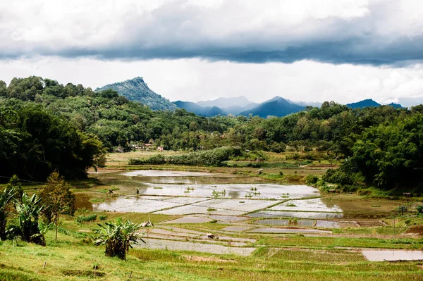 Пейзаж Южной Суалвеси, Тана Тораджа, Индонезия. Рисовые поля с водой, горы, облачное небо . — стоковое фото