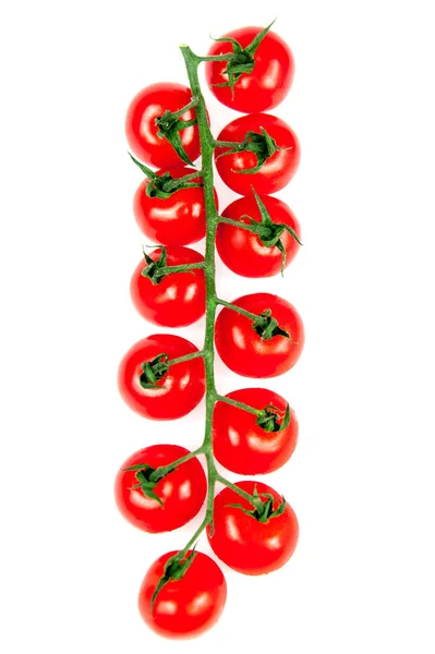 Organic ripe fresh cherry tomatoes on a long branch isolates on white background. Stock Image