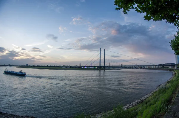 Rhine Knä Bron Dsseldorf — Stockfoto