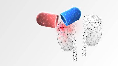 Kapsülde insan böbreği ilacı var. İlaç tedavisi, aşı konsepti. Düşük poli, kablo 3D vektör illüstrasyonu. Beyaz origami arkaplanındaki soyut çokgen resmi