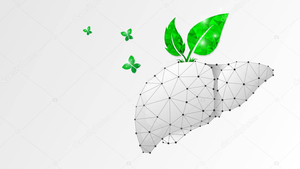 Healthy Liver, human organ with green leaves and butterfly. Adult body anatomy, health biology. Low poly, wireframe 3d vector illustration. Abstract polygonal image on white origami background