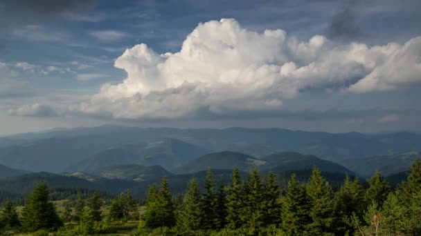 Time Lapse Dans Montagne Rhodope Bulgarie — Video