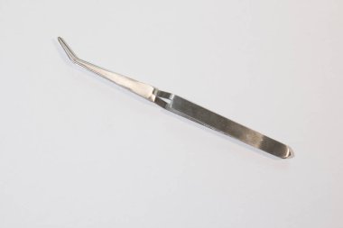 Beyaz arka planda bir cımbız. Bir cımbız yakın plan.