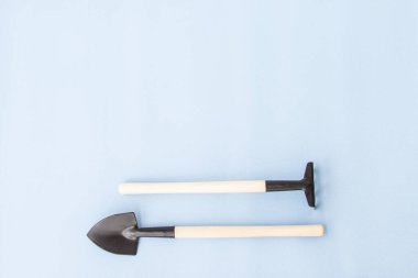 Evdeki bahçe işleri için aletler. Pencere kenarında yiyecek yetiştiriyor. Metin için kopyalanma alanı. Üst Manzara. Mavi arkaplan üzerindeki düz çizgi.