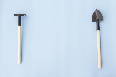 Evdeki bahçe işleri için aletler. Pencere kenarında yiyecek yetiştiriyor. Metin için kopyalanma alanı. Üst Manzara. Mavi arkaplan üzerindeki düz çizgi.