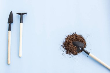 Evdeki bahçe işleri için aletler. Pencere kenarında yiyecek yetiştiriyor. Metin için kopyalanma alanı. Üst Manzara. Mavi arkaplan üzerindeki düz çizgi.