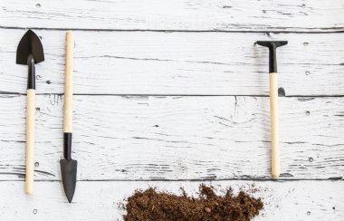 Evdeki bahçe işleri için aletler. Pencere kenarında yiyecek yetiştiriyor. Metin için kopyalanma alanı. Üst Manzara. Ahşap arkaplanda düz bir alan.