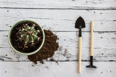 Evdeki bahçe işleri için aletler. Üst Manzara. Ahşap arkaplanda düz bir alan.