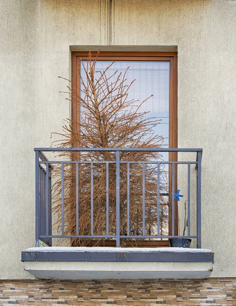 Toter trockener Weihnachtsbaum Stockbild